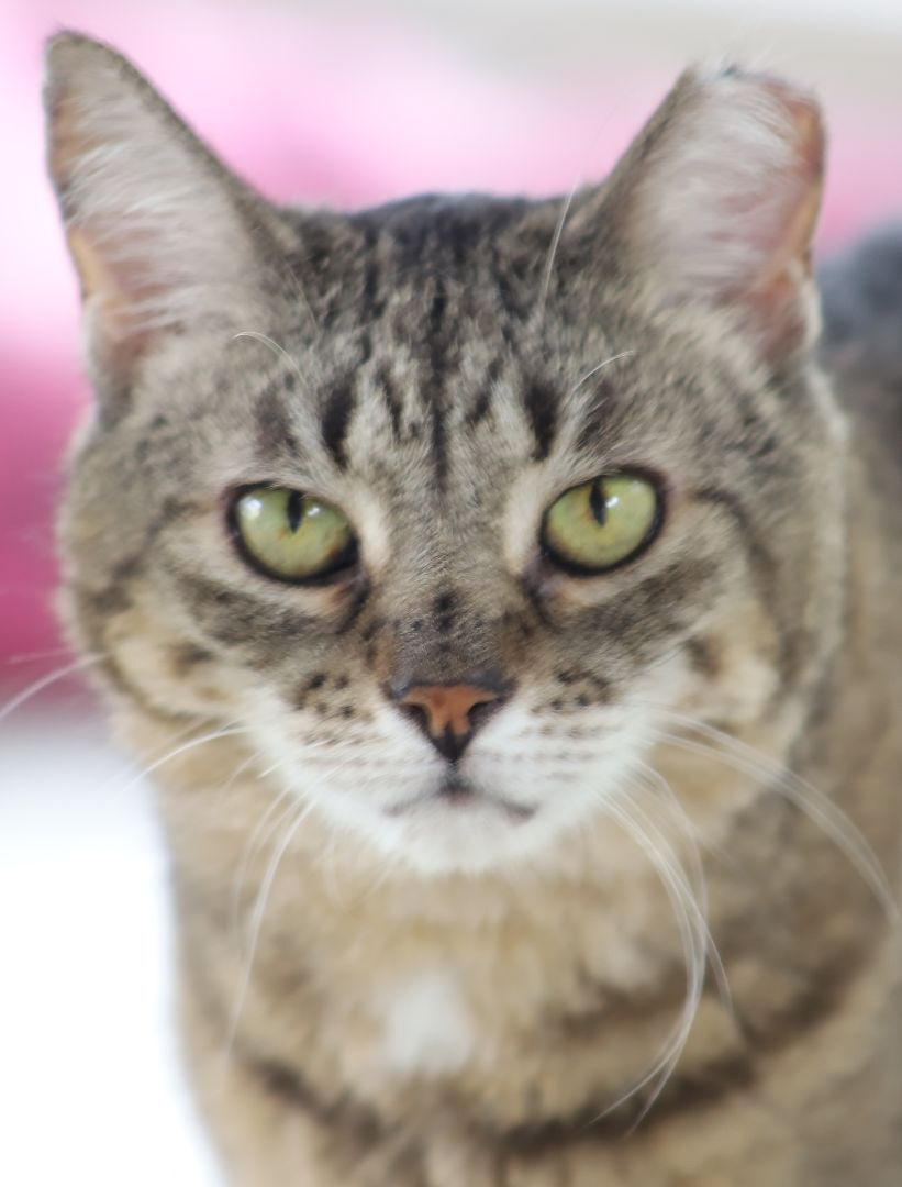 Katie, Senior Female unknown