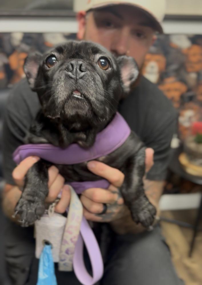 Miracle — thumbnail 2