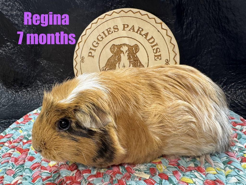 Regina, Baby Female unknown