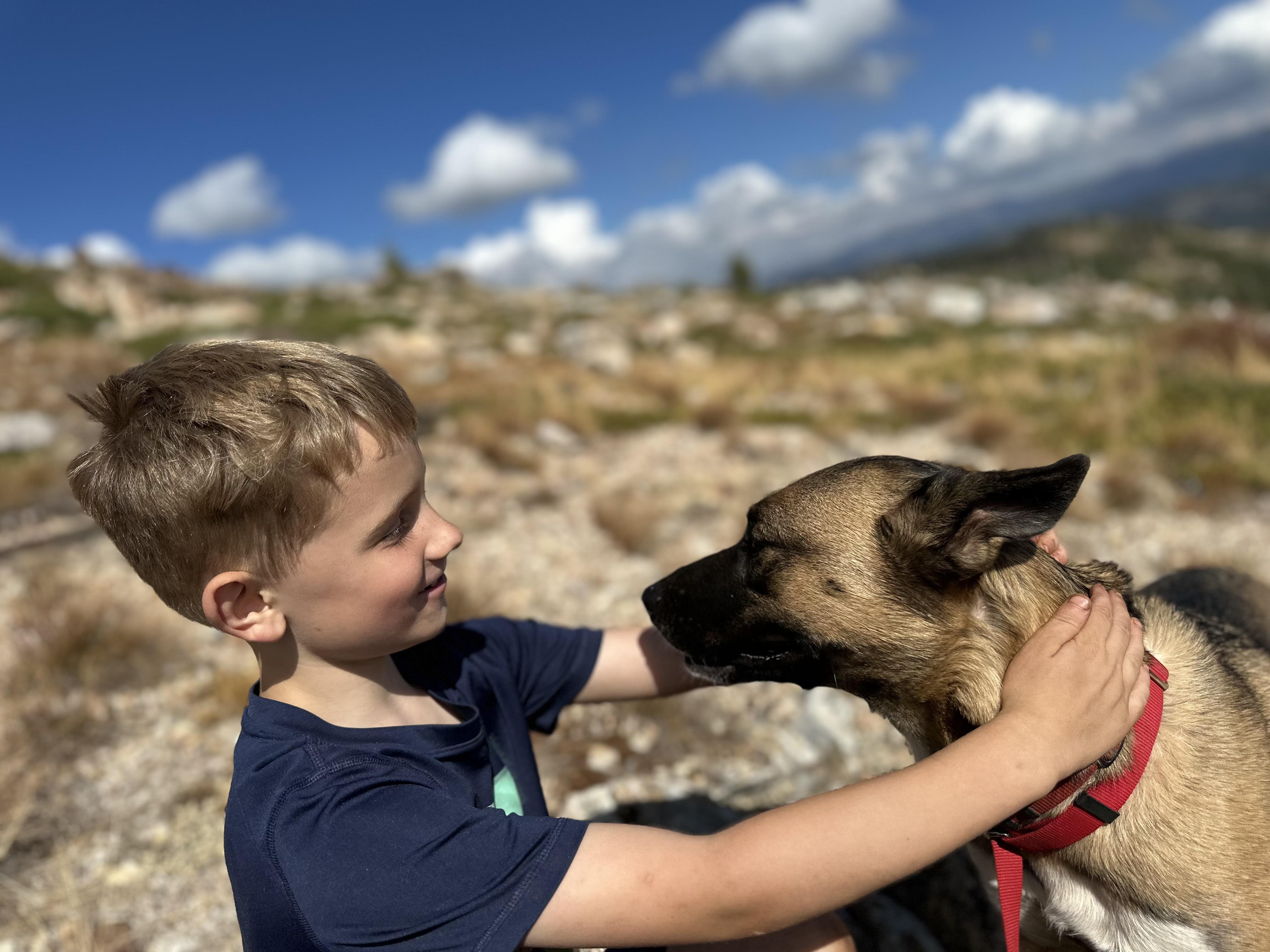 Enlarge Ollie, a Adoptable mixed breed in Truckee, CA image 5/6
