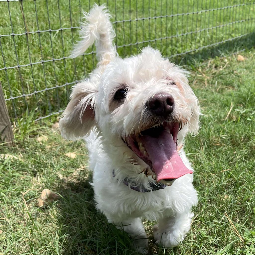 Renan — thumbnail 6