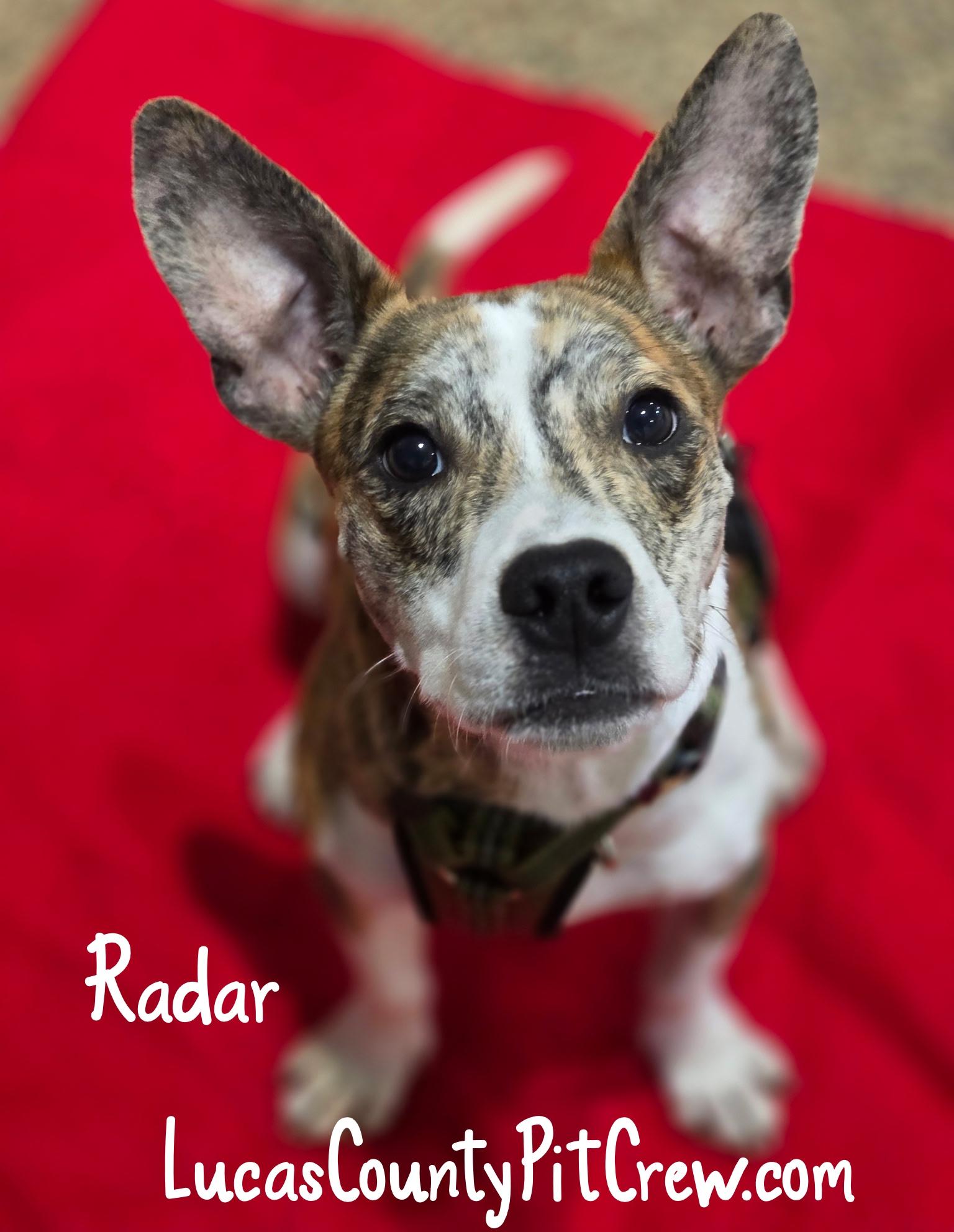 Radar
