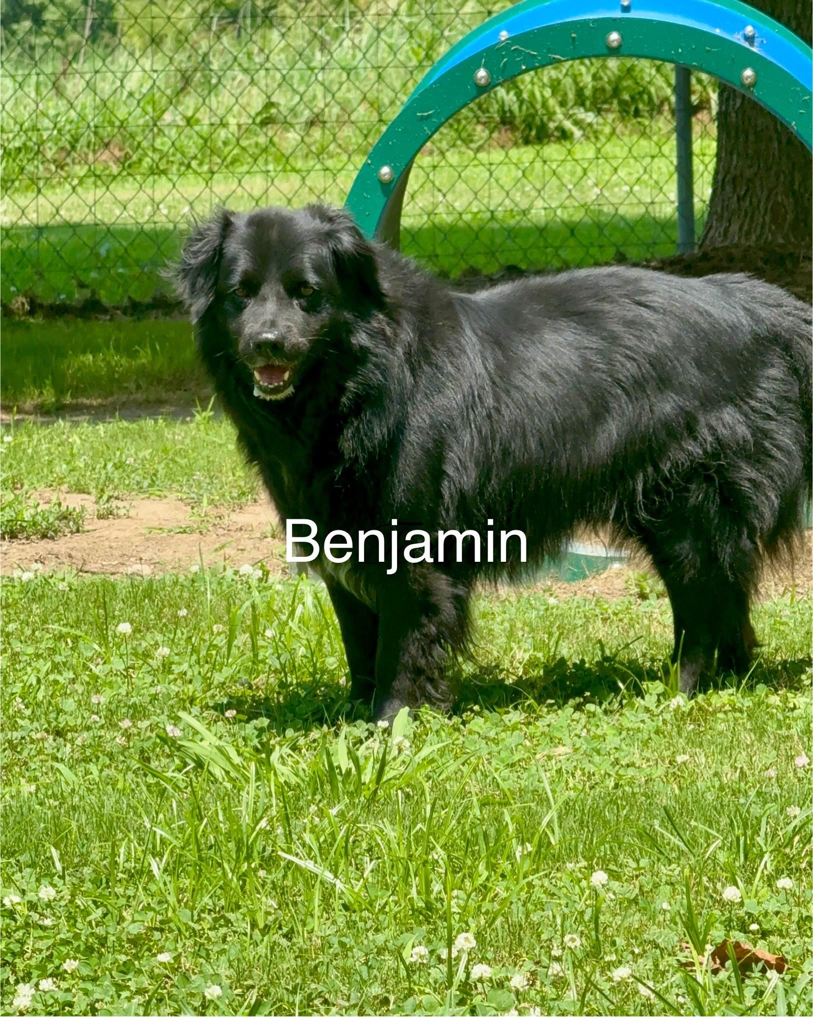 Emma bonded with Benjamin — thumbnail 3