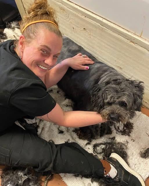 Enlarge Emma bonded with Benjamin, a Adoptable Mixed Breed in Southaven , MS image 5/5