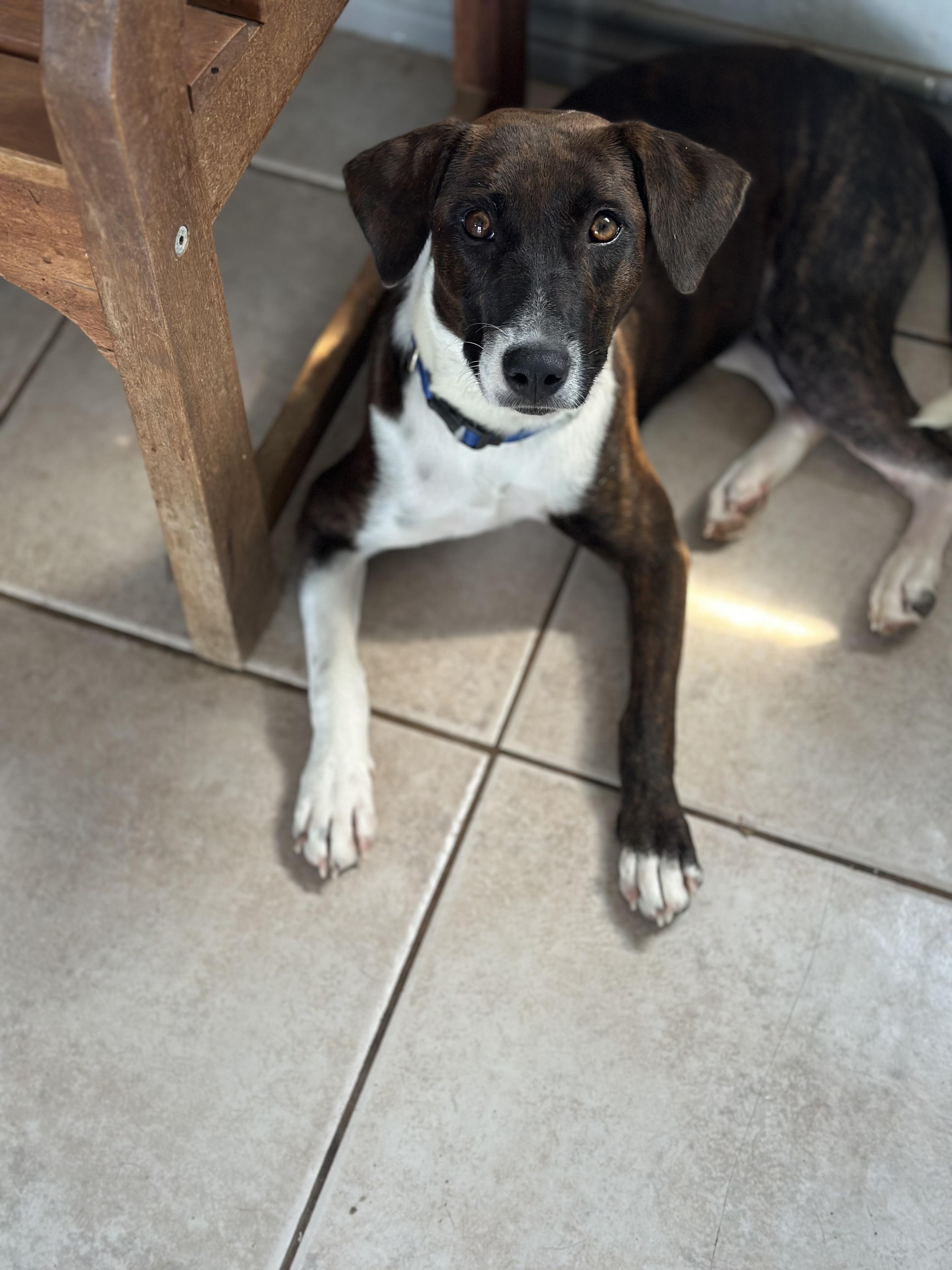 Mary Ellen thumbnail 3