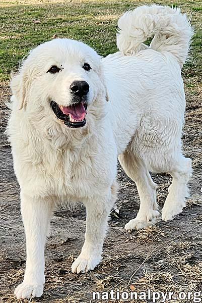 Coral in KY - Always Wears a Smile!