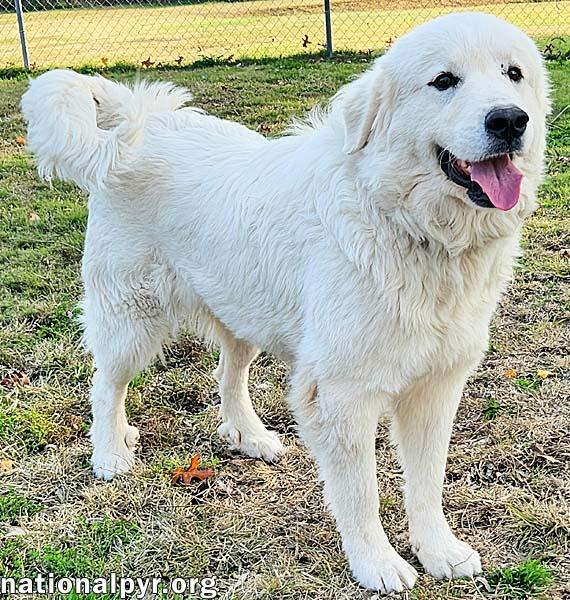 Coral in KY - Always Wears a Smile!