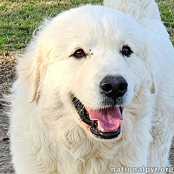 Coral in KY - Always Wears a Smile!