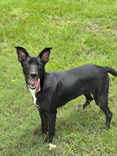 Macie Bird photo 3