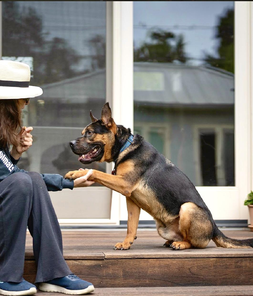 Mylo (contact Rachel)