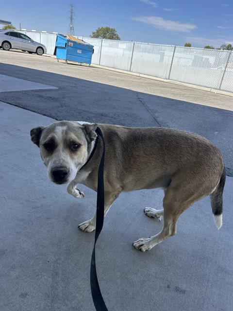 Daisy - URGENT! OUT OF TIME!