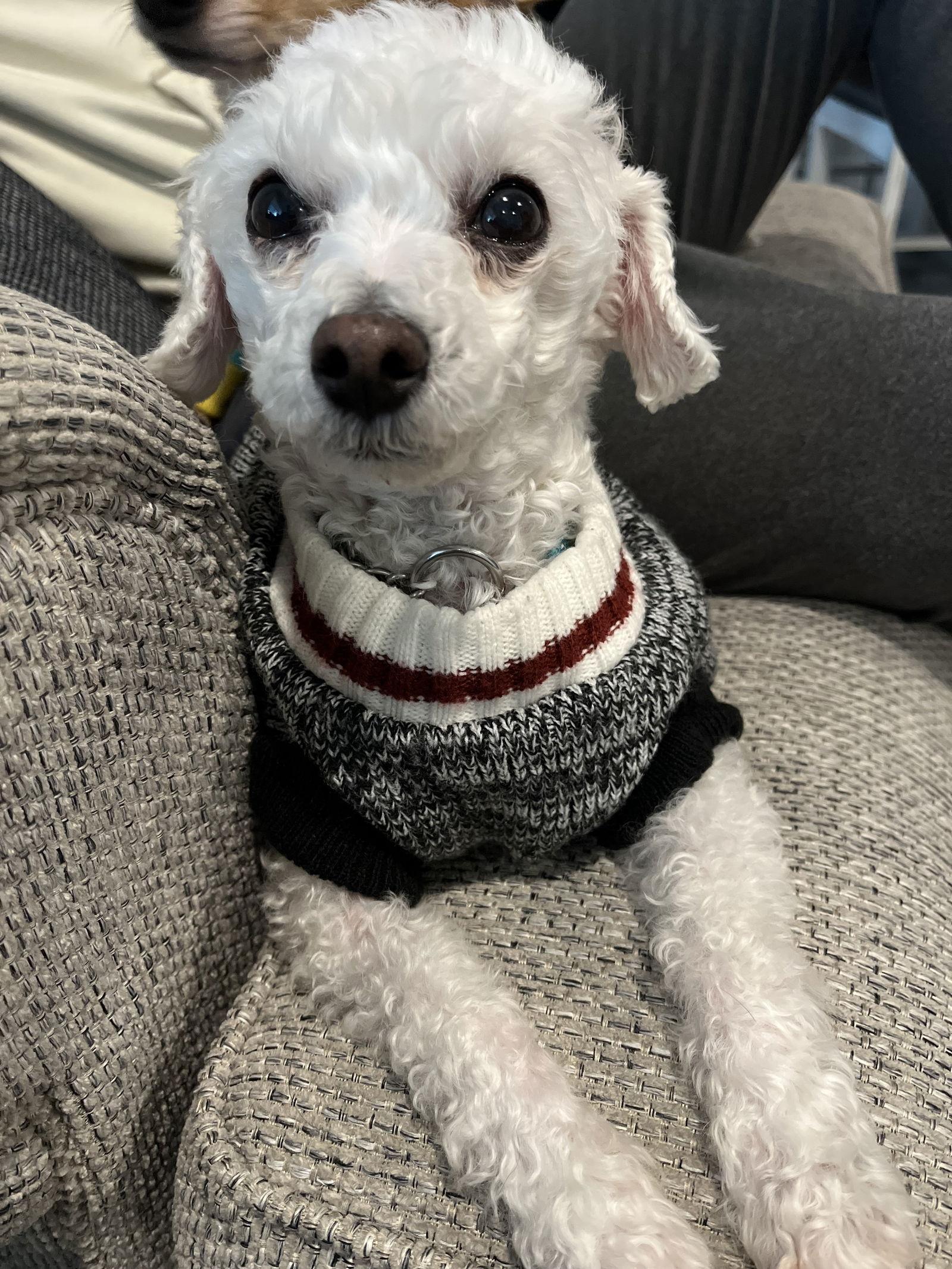 Bullet — thumbnail 3