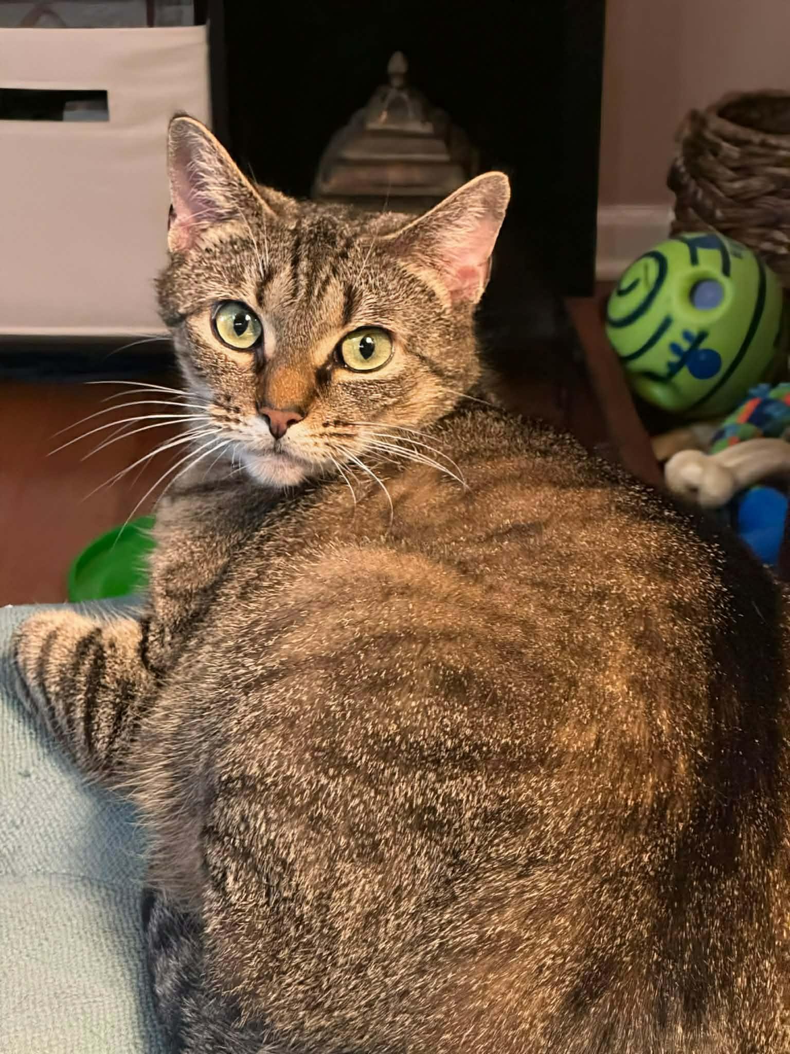 Linda — thumbnail 4