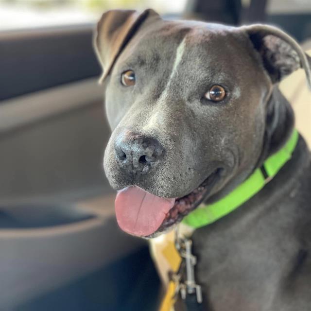 JERRY* — thumbnail 2