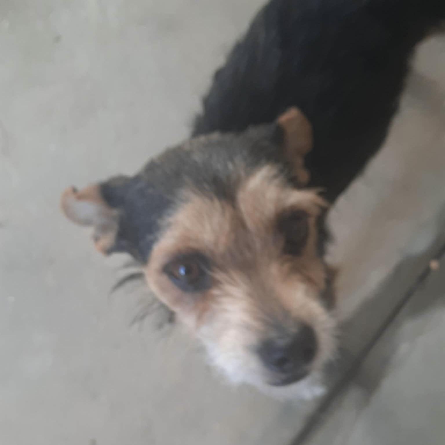 Dulce (20260301-04) — thumbnail 4