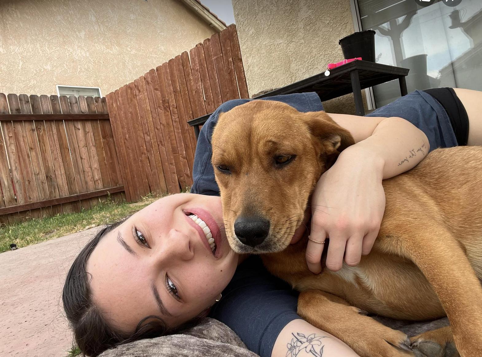 Enlarge Tawny, a Adoptable mixed breed in San Francisco, CA image 3/6