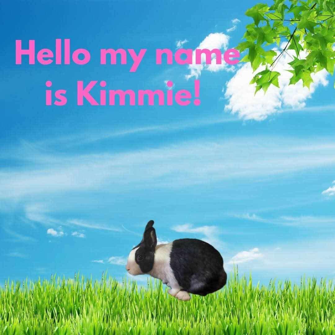 Kimmie photo 2