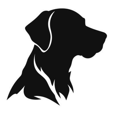 Enlarge Missy, a Adoptable American Staffordshire Terrier in Hinesville, GA image 1/2