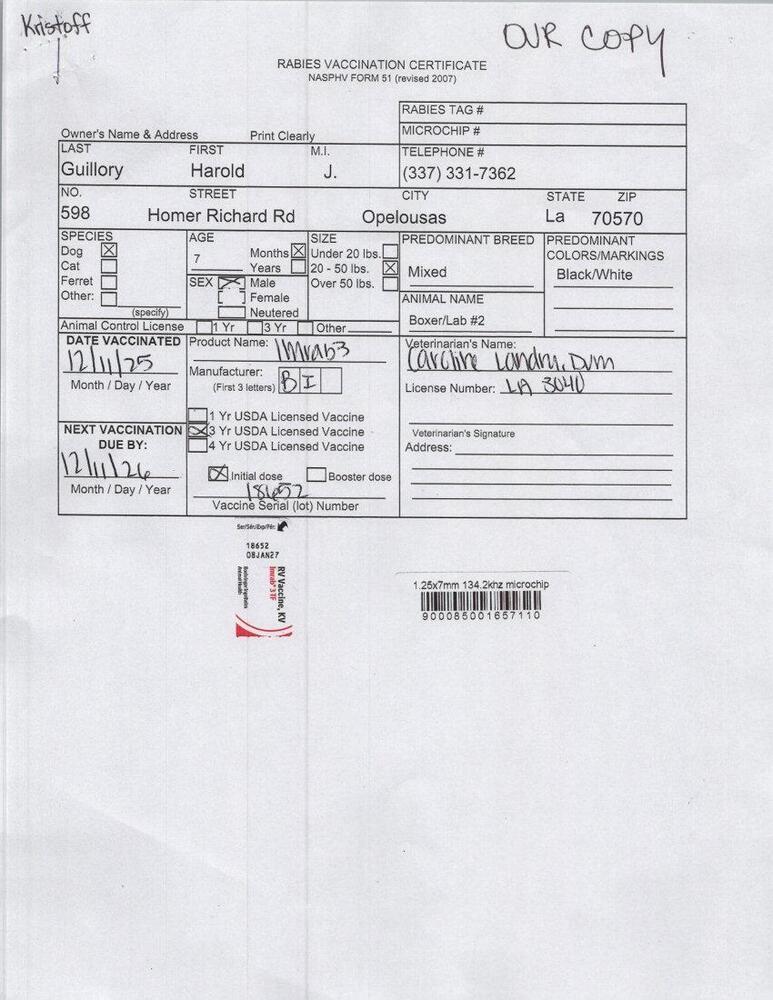 Enlarge Kristoff, a Adoptable mixed breed in Opelousas, LA image 1/5