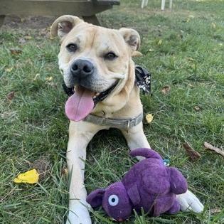 Smudge — thumbnail 3