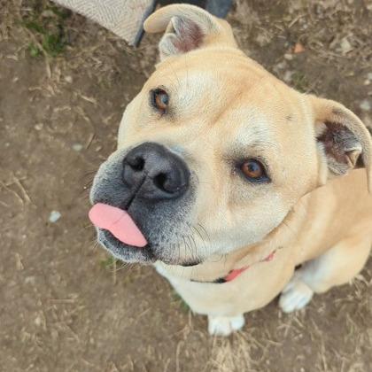 Smudge — thumbnail 5