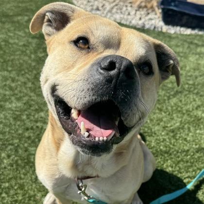 Smudge — thumbnail 6