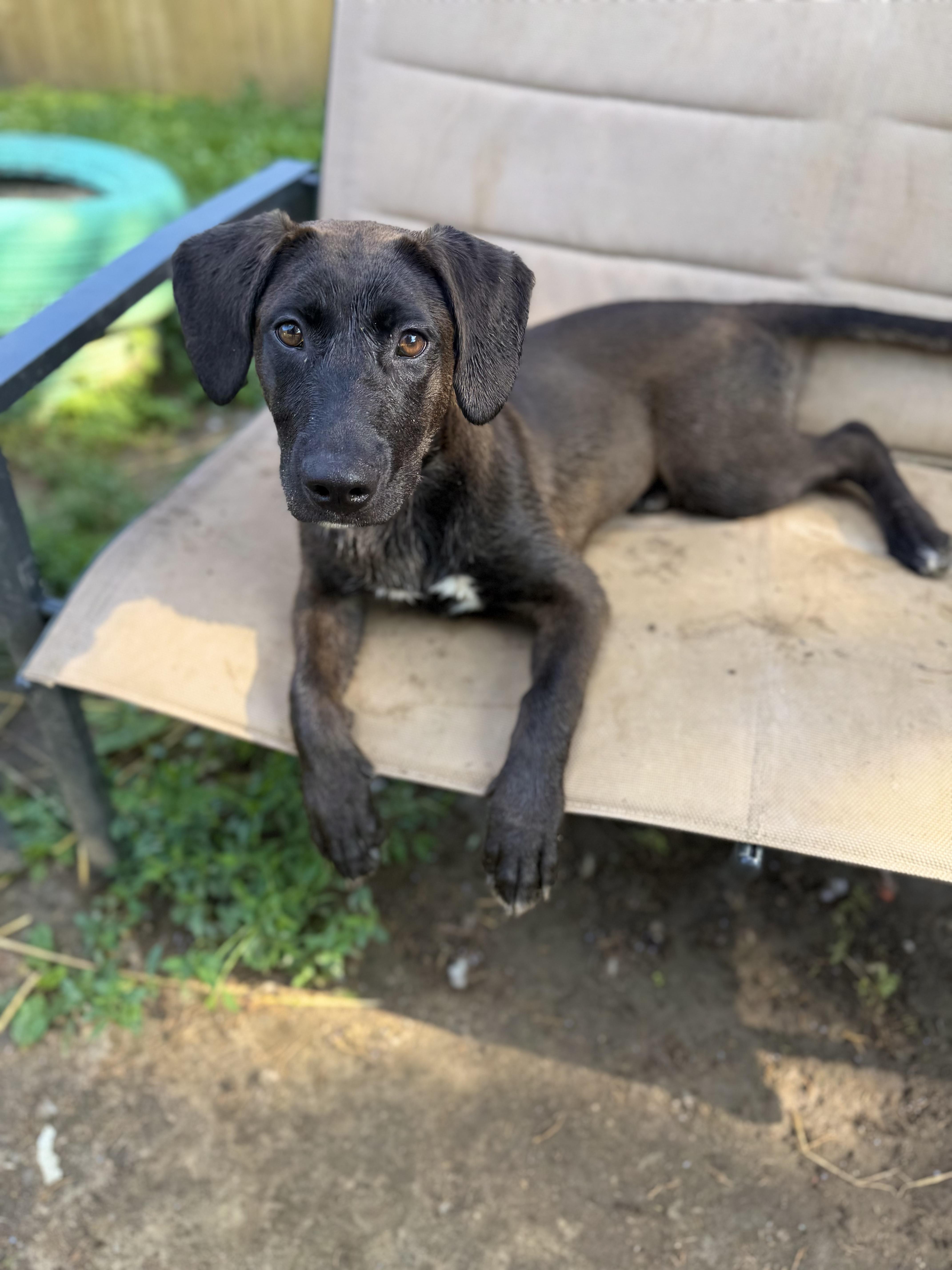 Mary Anne thumbnail 4