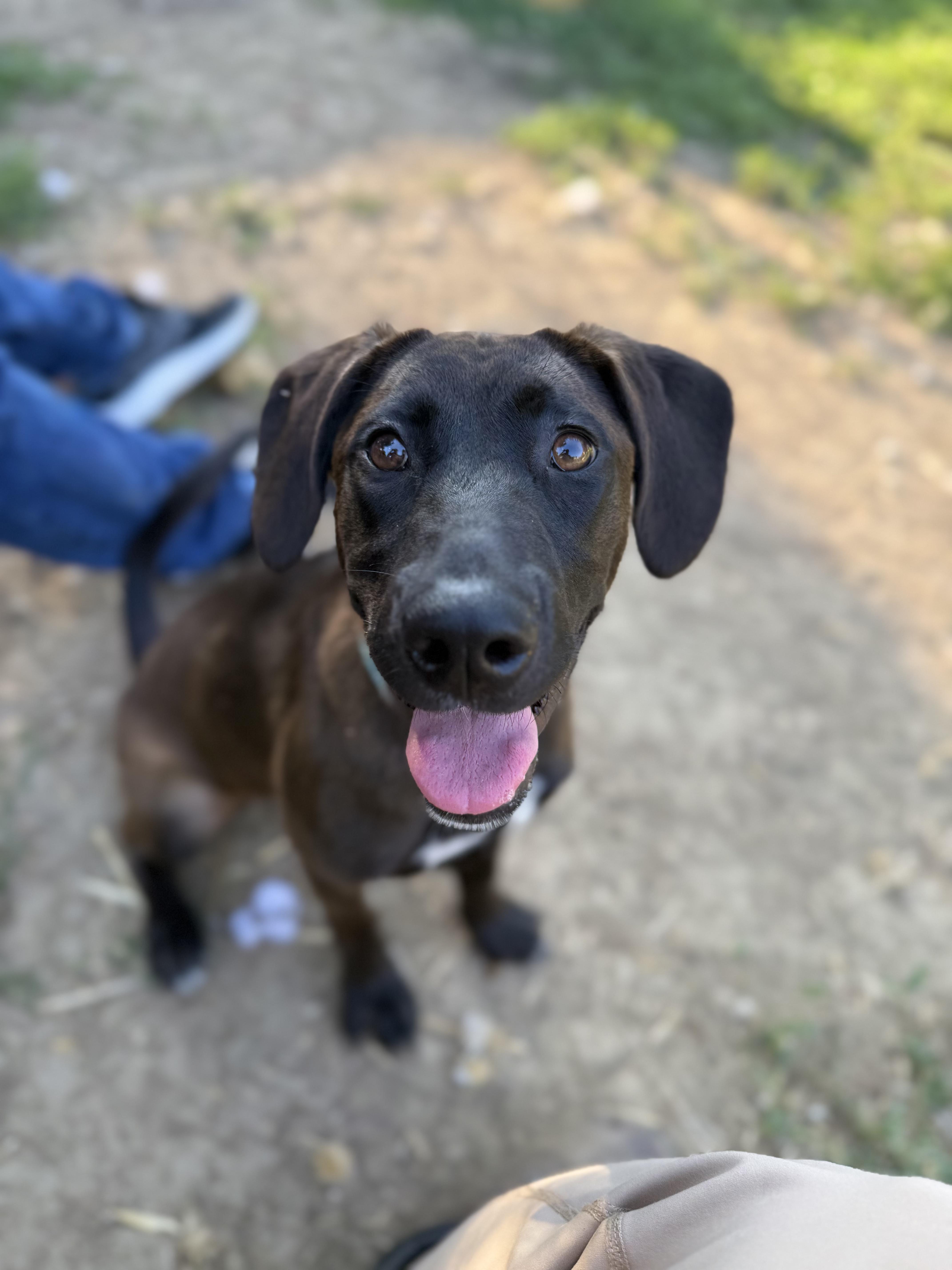 Mary Anne thumbnail 2