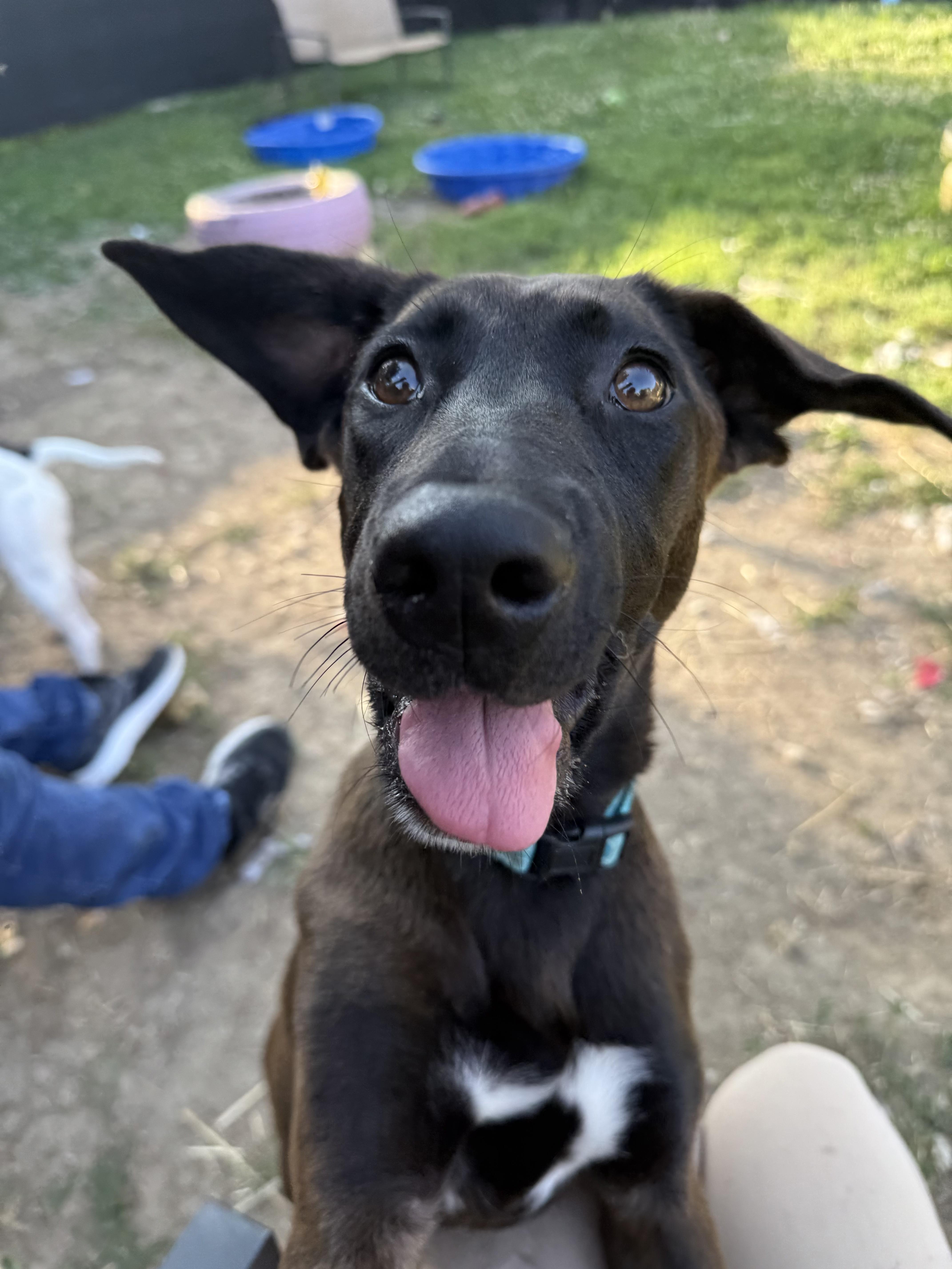 Mary Anne thumbnail 3