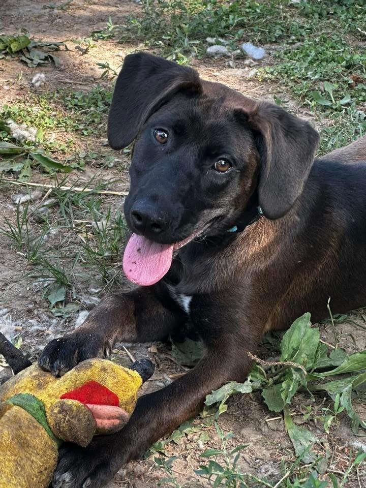 Mary Anne thumbnail 5