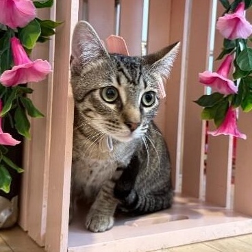 Pinky Gonzalez — thumbnail 5