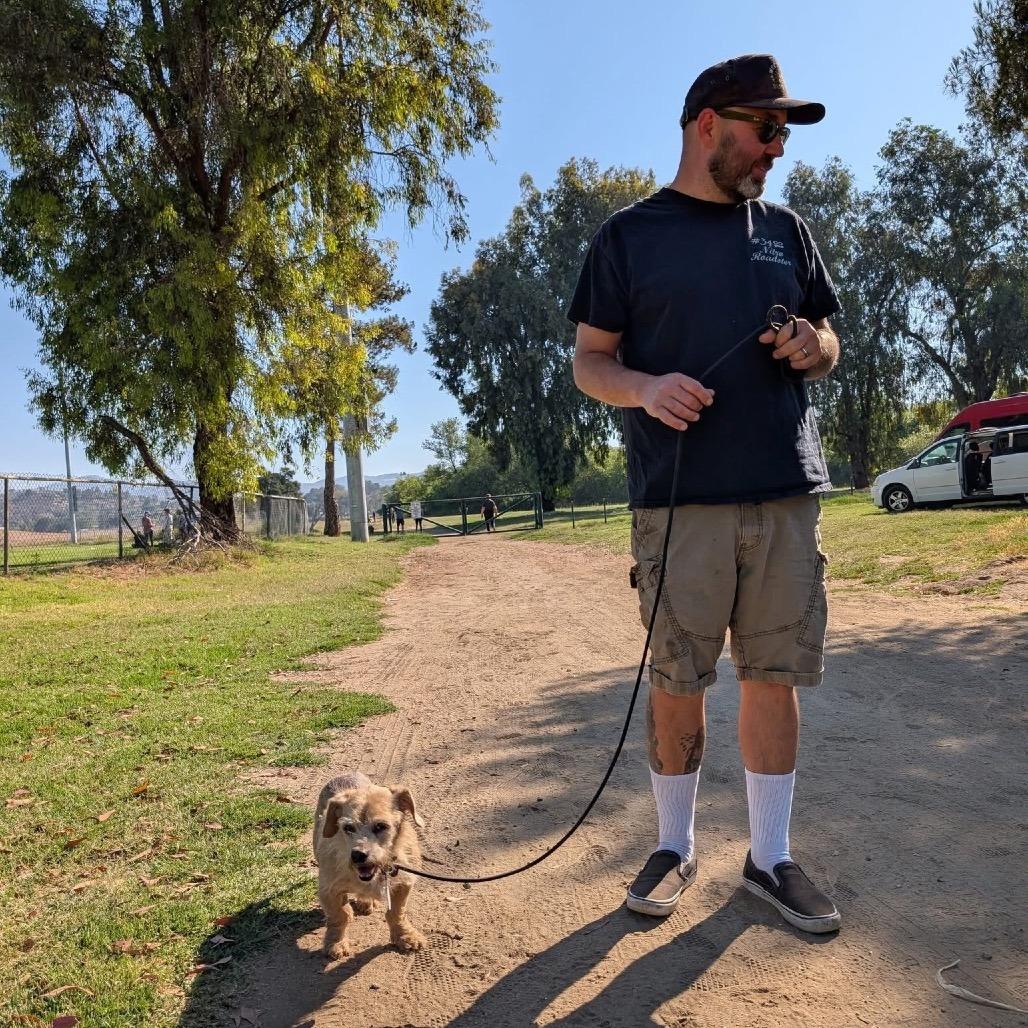 Popcorn, a Adoptable Terrier in Ramona, CA image 5/6