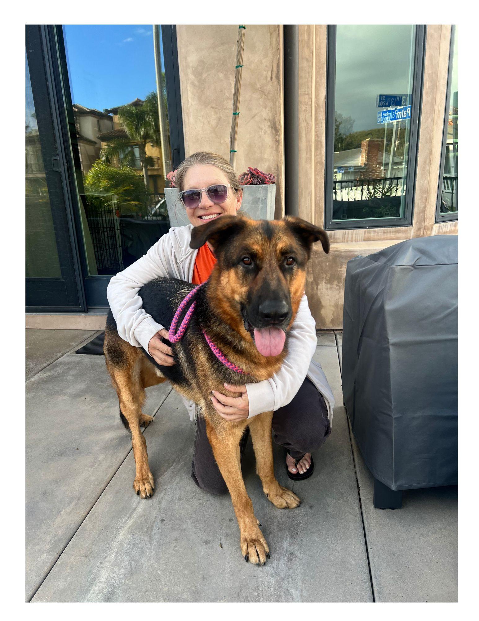 Enlarge Tyson, a ADOPTABLE German Shepherd Dog in Huntington Beach, CA image 3/4