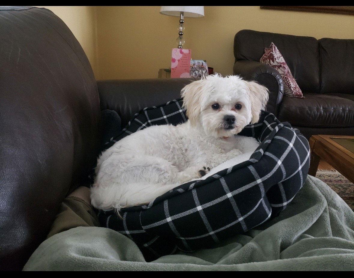 Rocki Applications Closed thumbnail 2