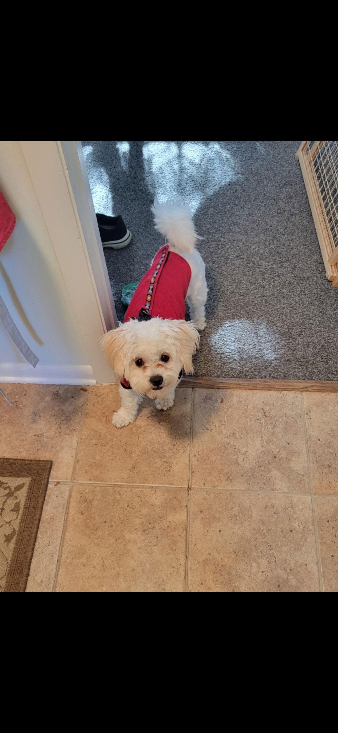 Rocki Applications Closed thumbnail 3