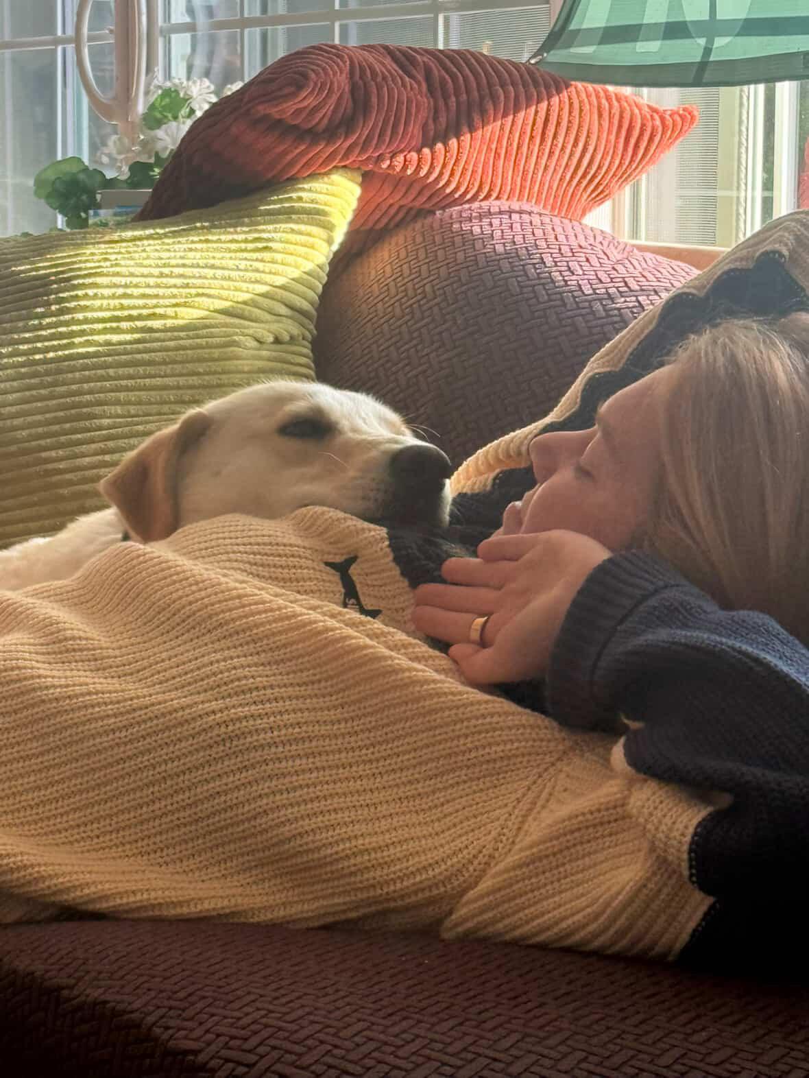 Dory, an adopted mixed breed in San Diego, CA image 4/4