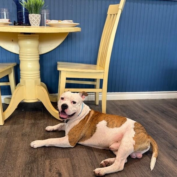 Paco Squishy Boy — thumbnail 2