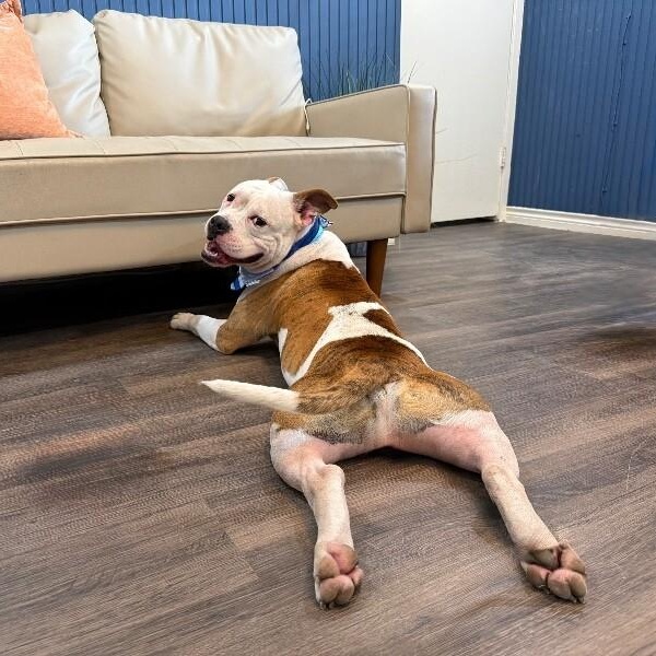 Paco Squishy Boy — thumbnail 5