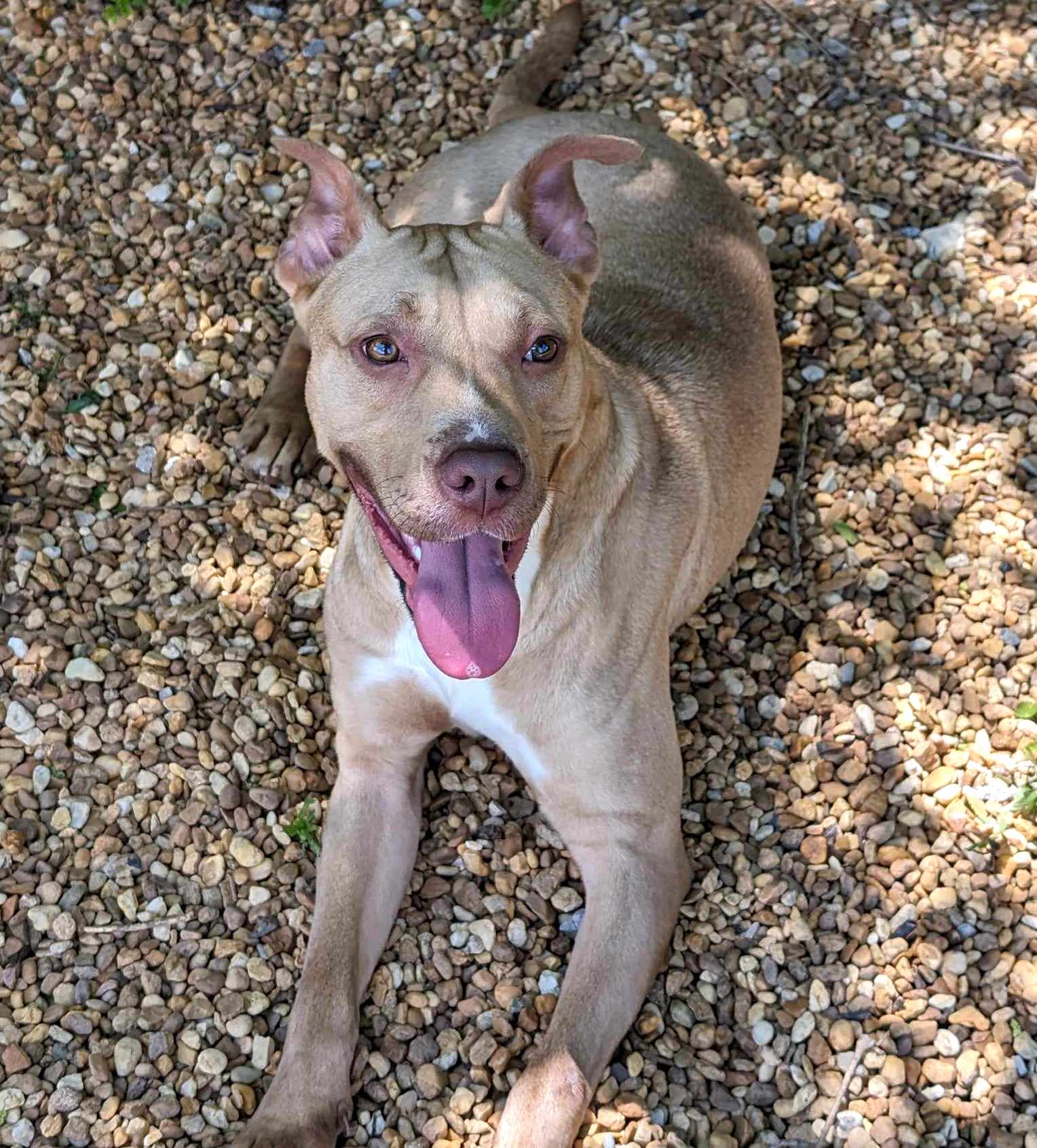 Fiona