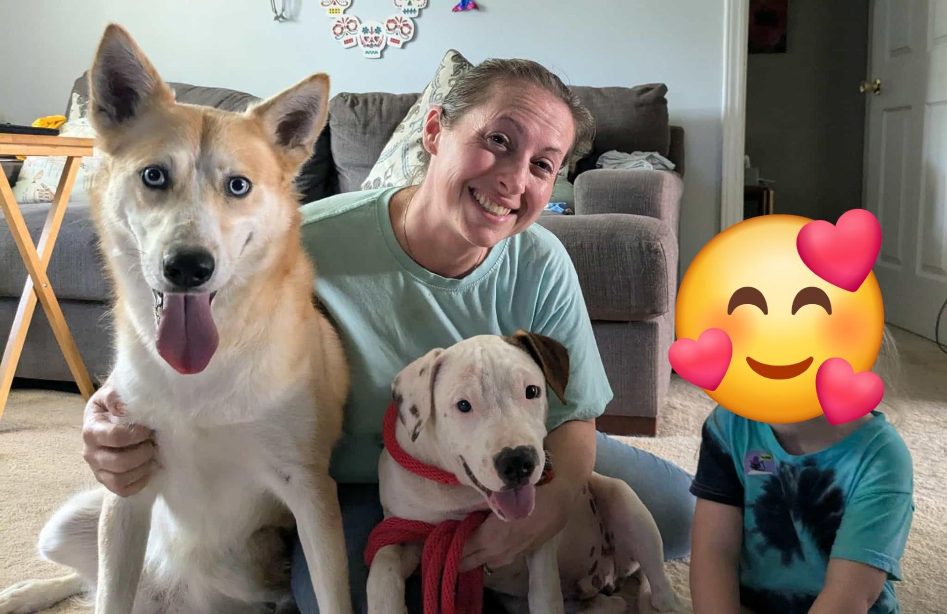 Enlarge Reggie, a Adoptable mixed breed in Grafton, MA image 3/6