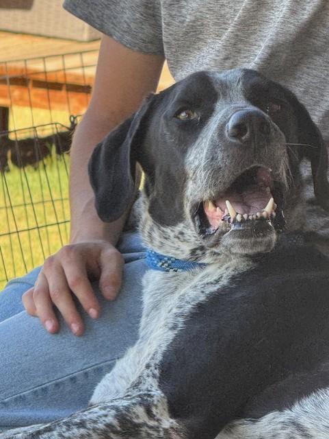 Photo of Zeke