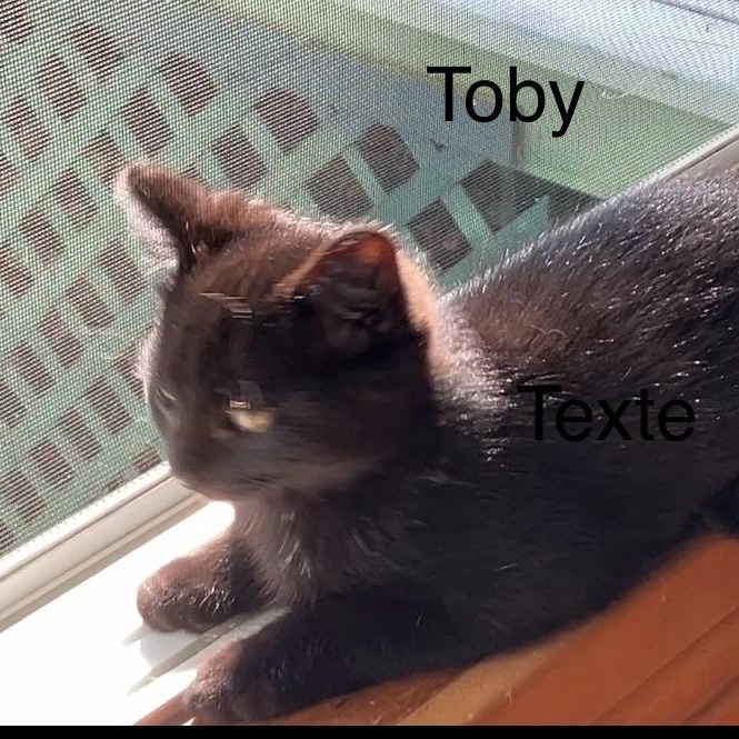 Tobby