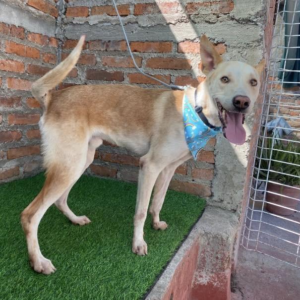 Huesos aka Bones (20250828-07) — thumbnail 4