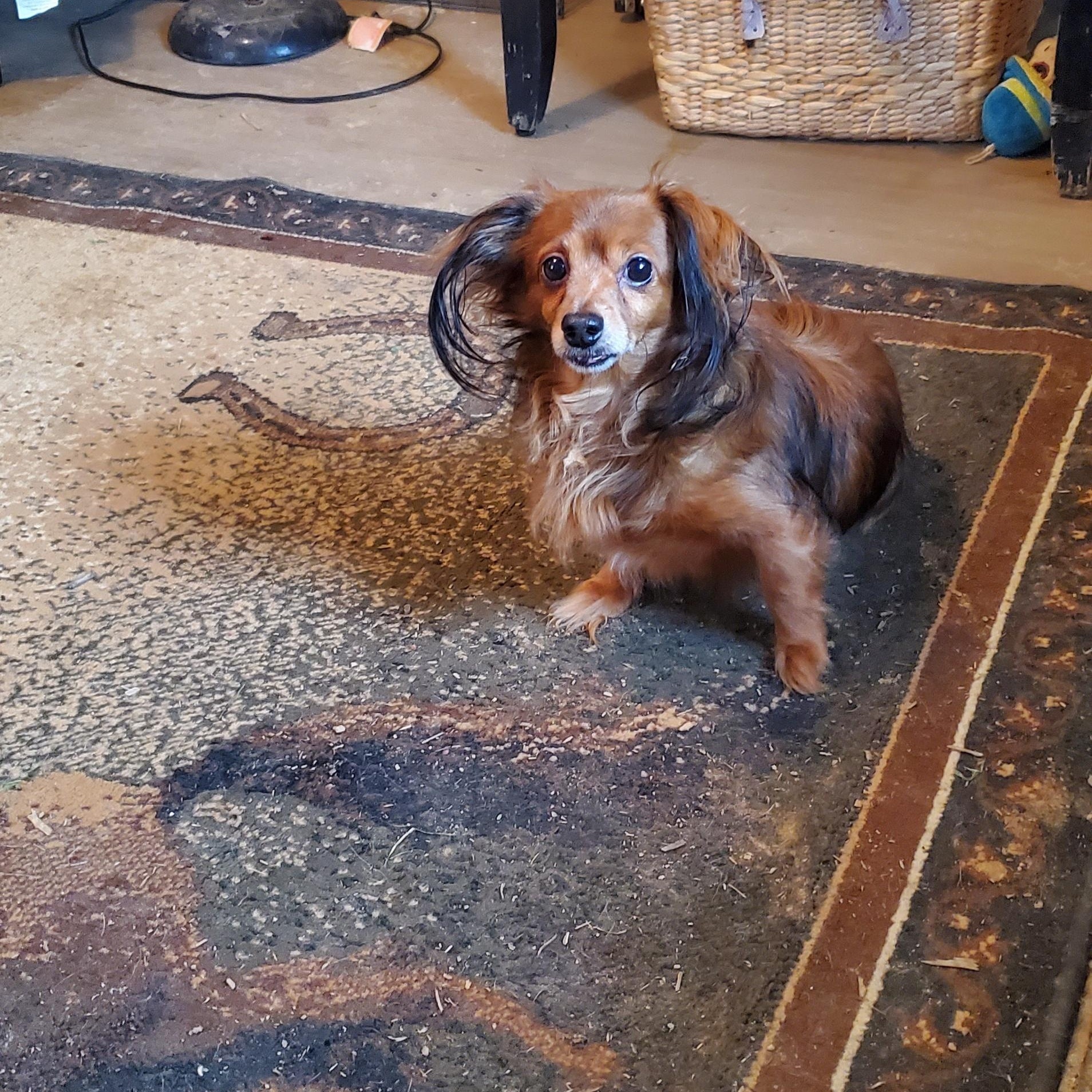 Peanut
