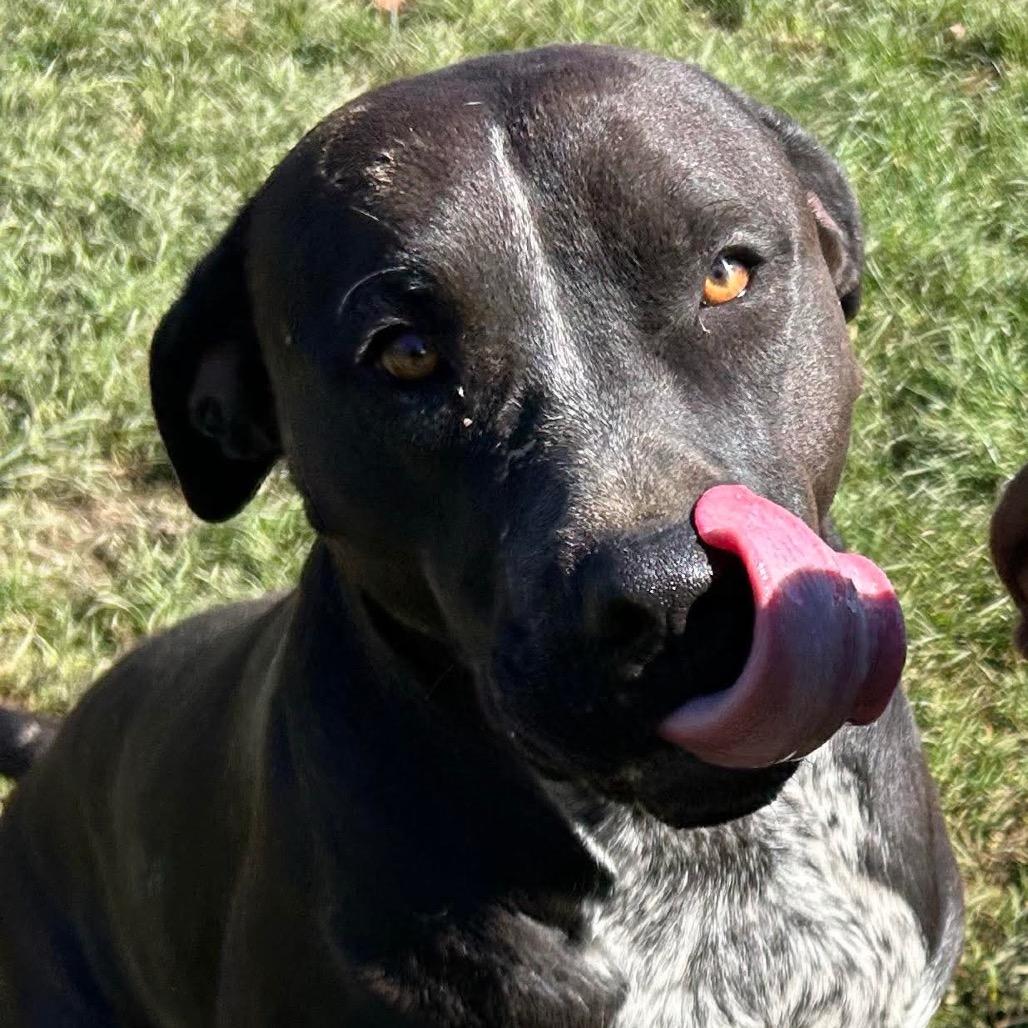 Poppy Pawsinprison Graduate thumbnail 5