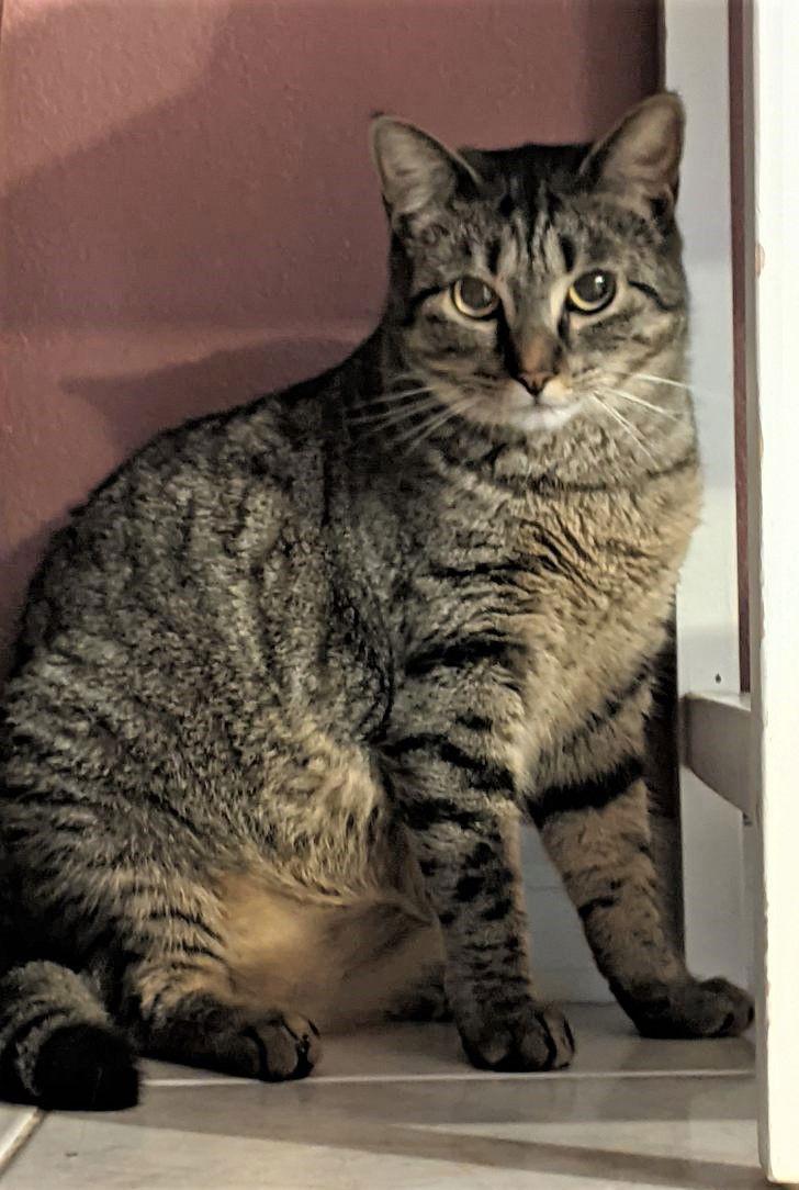 Daisy (Lisa) — thumbnail 2