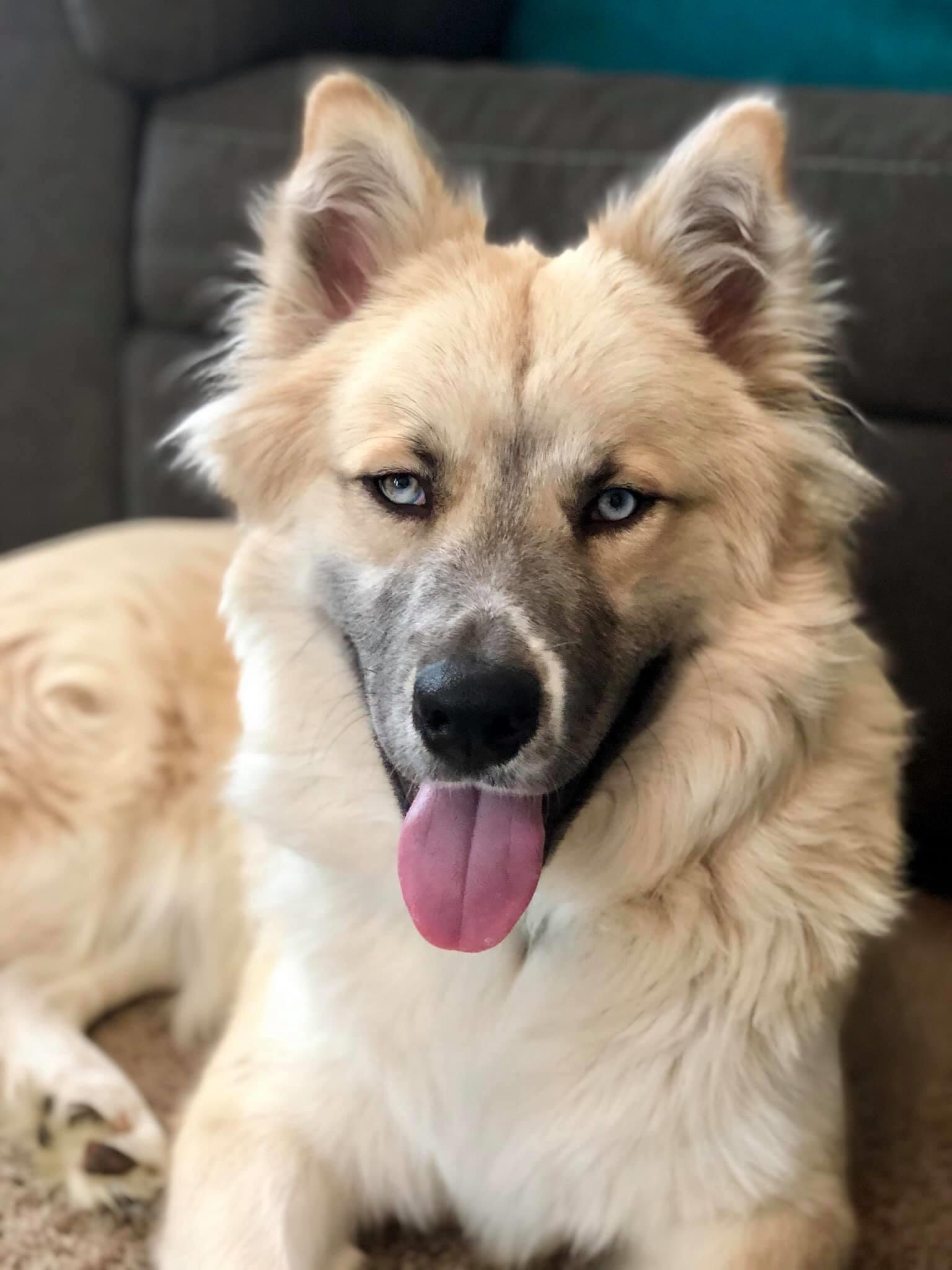 Loki