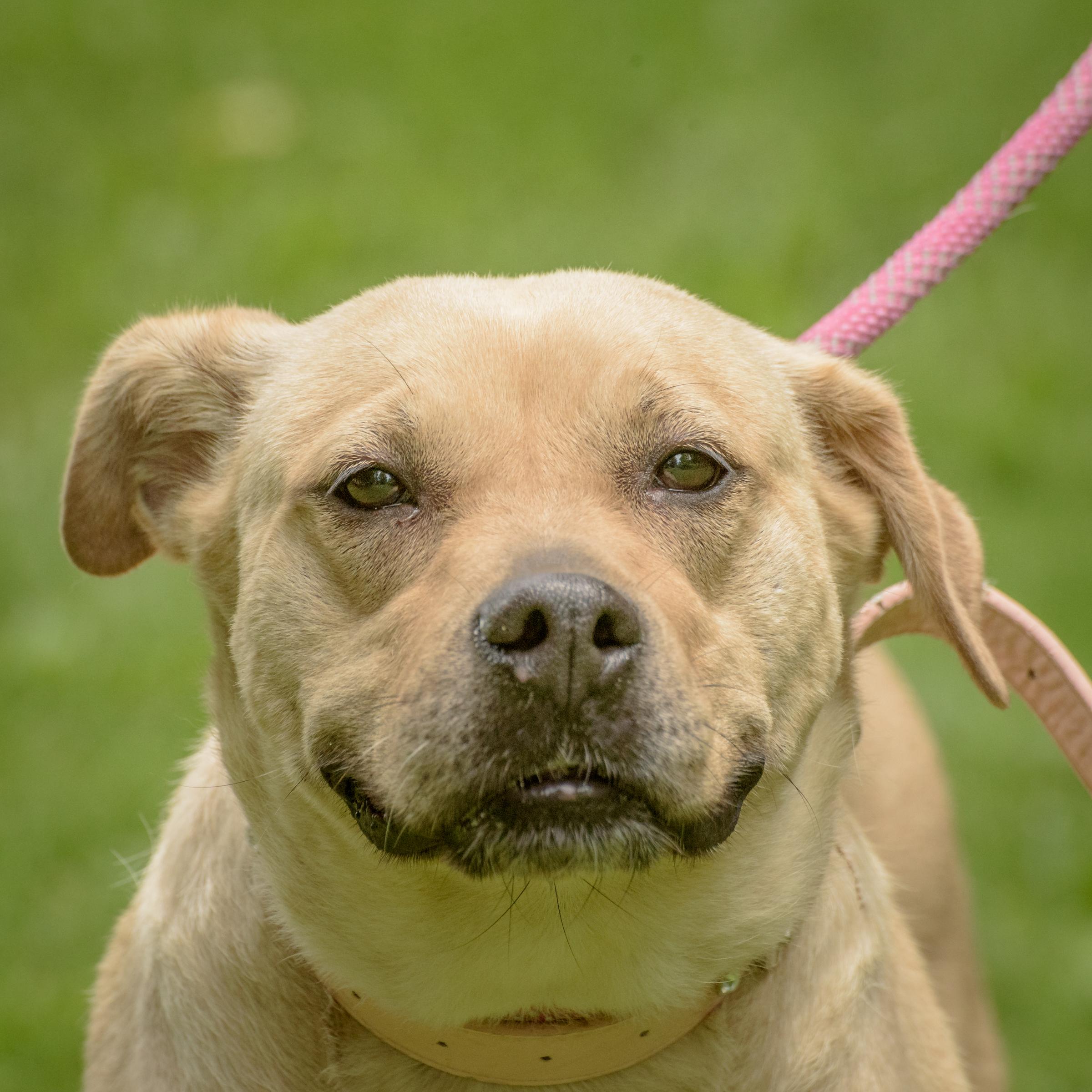 Ruby, Young Female unknown