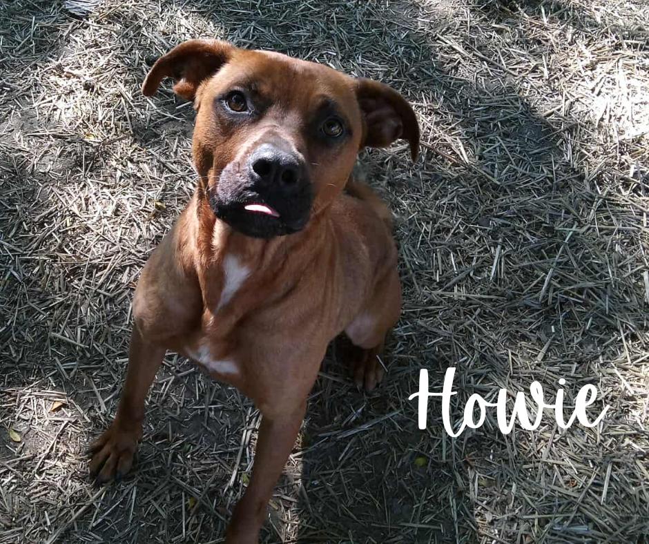 Howie