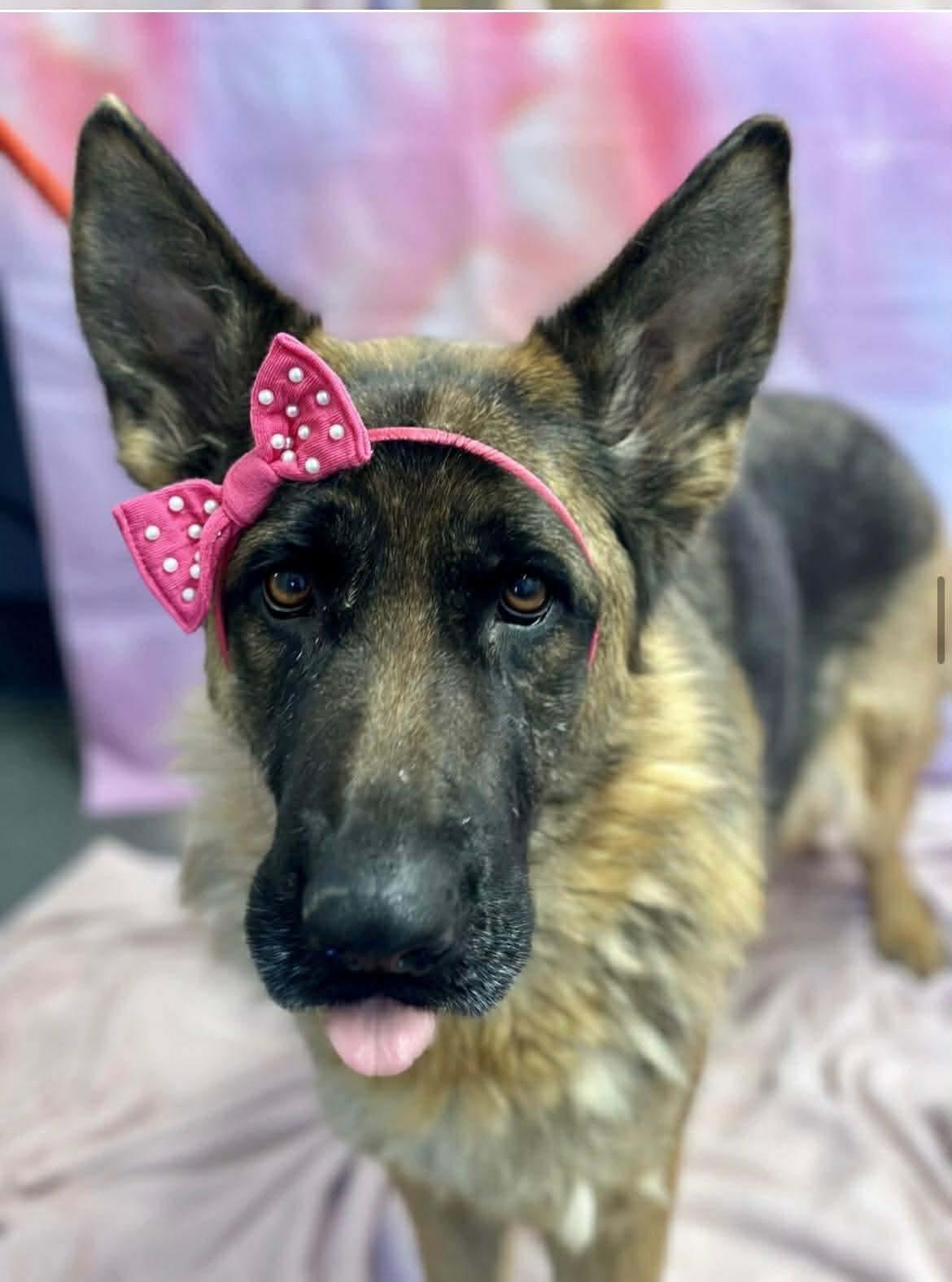 Hannah — thumbnail 3